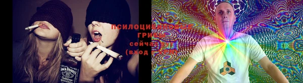 твердый Абинск