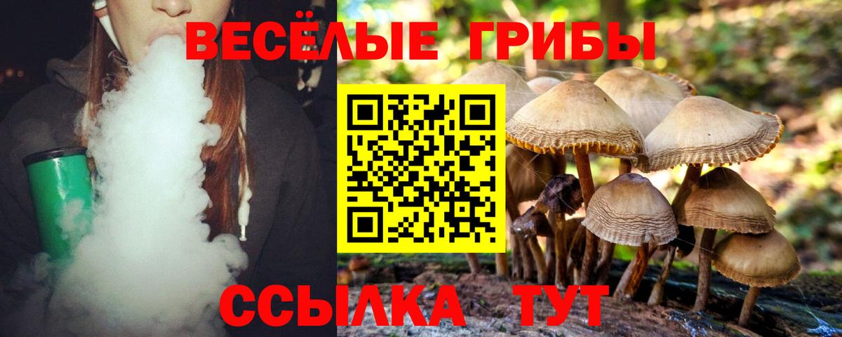 Ржев  что такое   Псилоцибиновые грибы Magic Shrooms  Вход с VPN  Галлюциногенные грибы Magic Shrooms 