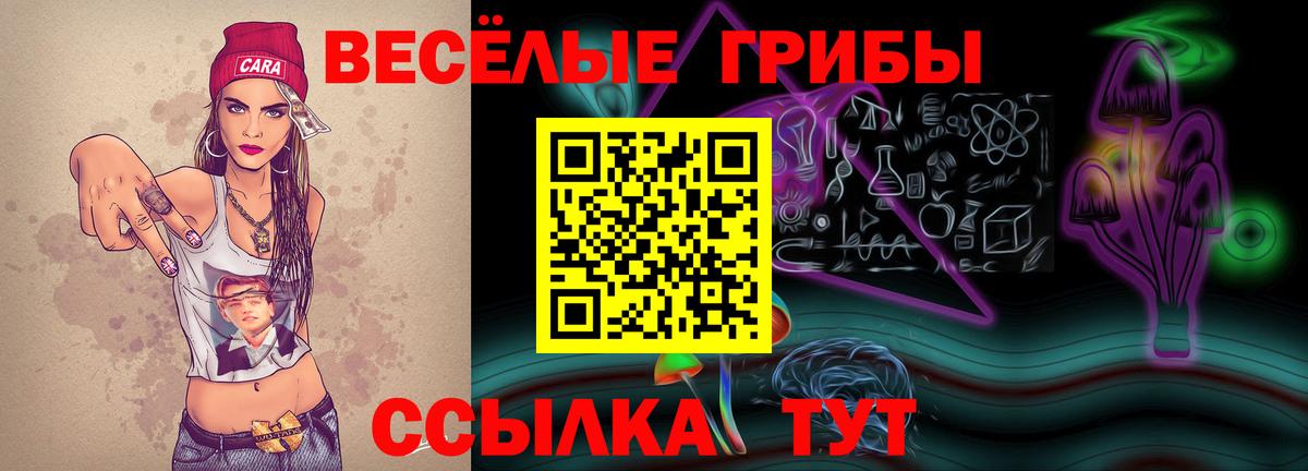 ГАШИШ  А ПВП СК кристаллы  Вход с VPN  ГАШ  COCAIN  Ржев  Меф МЯУ МЯУ кристаллы  Канабис  Мефедрон  МЕТ 