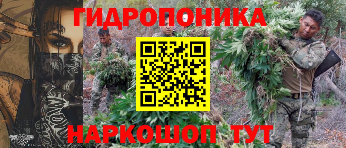 Марихуана Bruce Banner  Вход с VPN  Бошки марихуана LSD WEED  Ржев  Шишки марихуана индика 